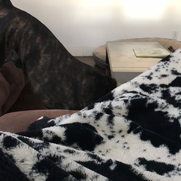 Meet your Posher, Jenna - Picture 1 of 1